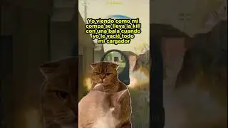 La decepci&oacute;n la traici&oacute;n hermano 👀✨😅 #memes #gatos #xbox #warzoneclips #callofduty