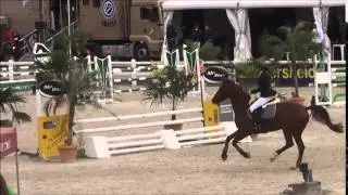 Jasper @ Belgian championship 5yo horses Gesves - placed 11th - finale and jump off (17/08/2014)