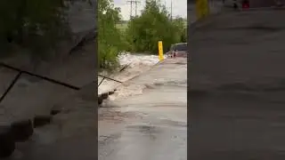Dramatic water rescue in Texas as man clings to car in raging floodwaters