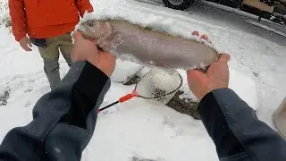 Quick Video: Topaz Lake, NV (Eastern Sierra) Trout & Kana Fishing Stoneflies Jig Testing