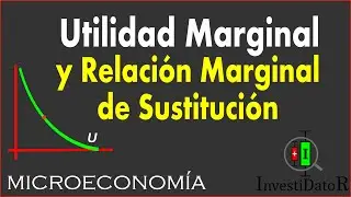 Utilidad Marginal y Relación Marginal de Sustitución