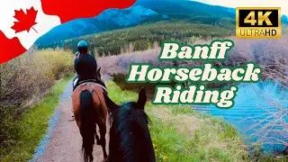 Scenic Horseback Ride in Banff | 4K POV Trail Adventure | Canada