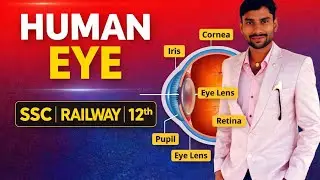 Human Eye | मानव नेत्र | SSC GD, Railway, Class 12 Biology | Om Study Centre