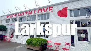 A Day in VLOG - Larkspur, CA - Rustic Bakery, Hog Island Oysters, Loveski