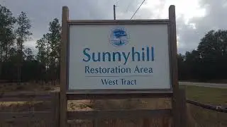 Hiking Sunnyhill West Tract in Central Florida 1st look!