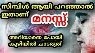 മനസ്സ് ഇത്രയും സിമ്പിളാണോ | Where Is Mind Located | Manasinte Churulazhiyatha Rahasyangal