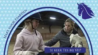les Tes van frenk en roos