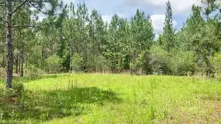 Lot 27 Ashbridge Lane, Pace, FL - 15.87 AC - (Ground Video)