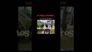 Los ciriguayos Los Alegres Cordillera Autor: Ceir Marin y Luis Albeiro Marin