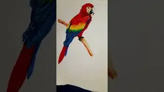 Realistic 3D Cupcake and parrot 🦜 Drawing | #3DDrawing #PencilArt #RealisticDrawing