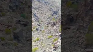 Hiking in Hatta Mountains Dubai