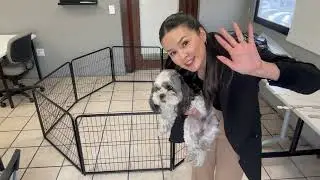 ⭕🔥⭕ Sweetcrispy Dog Playpen Indoor Unboxing and Review! ✅  #productreview #unboxing