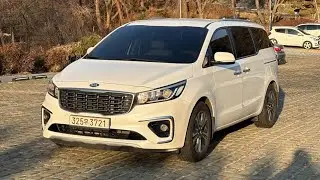 Карнивал 2019 8600$ +8210 3440 4497 wh
