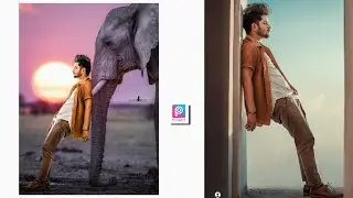 Elephant Animal Lover Photo Editing // Picsart Tutorial Animal lover photo editing