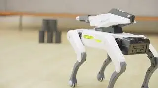 Interactive Robot Dog App-Enabled STEM Learning RC Fire Bullet Robot Dog