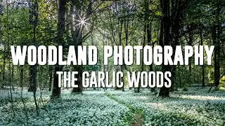 Woodland Photography The Garlic Woods