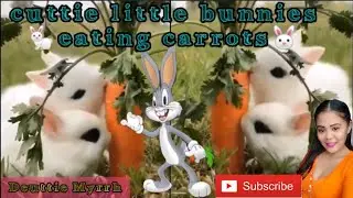 Two cuttie little bunnies eating carrots🐇🐰#short clips | by: Deuttie Myrrh