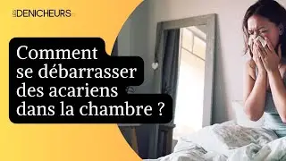 🛏️ 🤧 Acariens dans la chambre : comment s&rsquo;en d&eacute;barrasser ? 🧽
