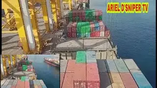 Cargo Loading and Discharging Container Operation | Port Jebel Ali, Dubai UAE