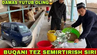 BUQANI TEZ SEMIRTIRISH SIRLARI UY SHAROITIDA😃