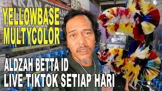 MUTYCOLOR DAN YELLOW BASE ALDZAH BETTA ID PONDOK CABE
