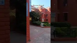 Shyama Prasad Mukherjee college for women #ytshorts #youtube #college #spmc #shyamaprasadcollege #du