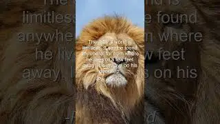 Motivational Quote: The artist's world is limitless. It can be found a