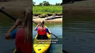 Boat Attacks