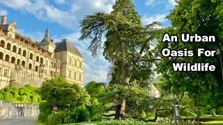 A Journey Through France - Part 6 - A VERY Wildlife Friendly Town . . .