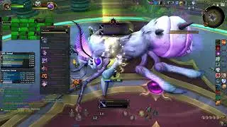 Wow but whit a ps5 controller, POV: Resto Shaman LFR