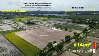 #propertyreviews.kh #094 ដីលក់បន្ទាន់ ស្រុកបាទី  ជាប់ផ្លូវរដ្ឋ12ម #តម្លៃត្រឹមតែ$14/m&sup2;