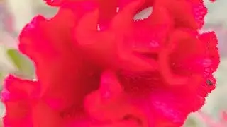 poojamonika  is live स्वागत है आप सभी का हमारे चैनल पर