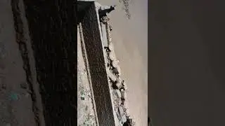 barawe bada