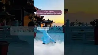 241128-Wudang Tai Chi