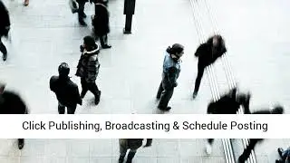Socifeed Review, Bonus, Demo Video &ndash; Automated Video Software For Unlimited Traffic & Profit