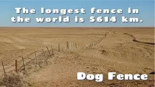 Dog Fence, Australia