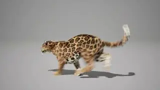 jaguar run UE