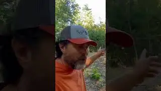 MOST COST EFFECTIVE WAY TO CLEAR LAND MANY DONT KNOW ABOUT 💵😉#construction #grading #mulching