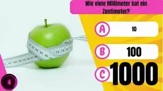 Allgemeinwissen Quiz – Teste dein Wissen!
