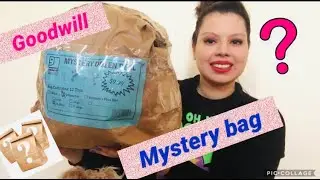 Goodwill mystery bag | thrift shopping