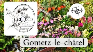 La cour des orchid&eacute;es - Gometz-le-ch&acirc;tel (91940)