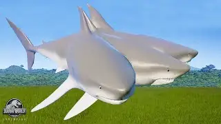 NEW 3 HEADED MEGALODON SHARK HYBRID - DINOSAUR TOURNAMENT | SHARK BATTLE || JURASSIC WORLD EVOLUTION