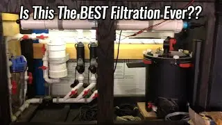 Instalacja akwarium 90 galon&oacute;w &ndash; z zaawansowanym systemem hydraulicznym Fluval FX6