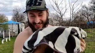 уДачный блог )
