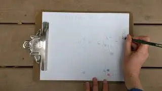 6  Bird Language  Adding Details