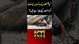 Israel Philistines Issue | World Report About Human Organ | Exclusive Report | Khabar Time