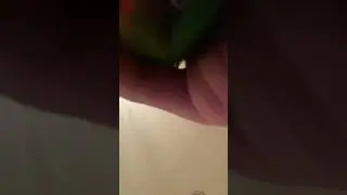 #funny LOVEBIRDY