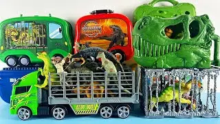 ASMR Jurassic World Unboxing Colorful Dinosaur T-rex Triceratops Box Dino Case Dino Truck Collection