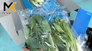 Vegetable Pouch Packing Machine Horizontal packaging machine