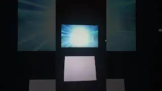 Marshtomp is evolving?